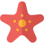 Starfish icon 64x64