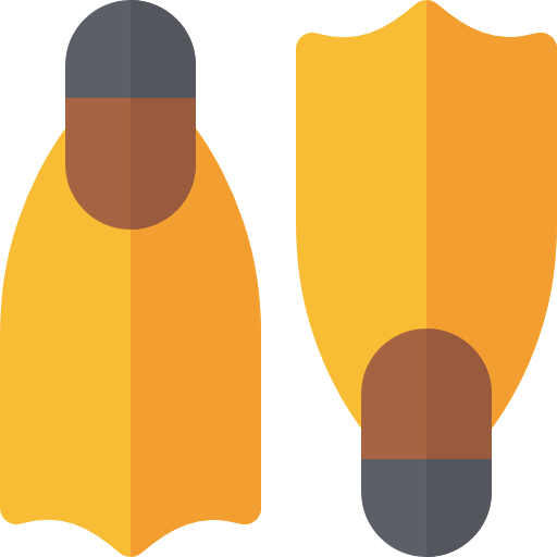 Flippers icon