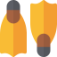 Flippers icon 64x64