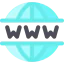 Www icon 64x64
