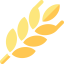 Wheat icon 64x64