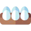 Eggs icon 64x64