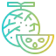 Melon icon 64x64