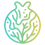 Cabbage icon 64x64