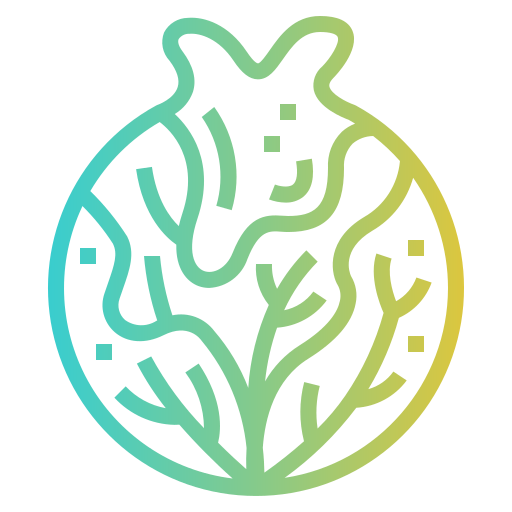 Cabbage icon