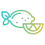 Lemon icon 64x64