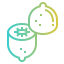 Kiwi icon 64x64