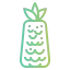 Pineapple icon 64x64