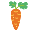 Carrot icon 64x64