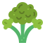 Broccoli icon 64x64