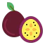 Passion fruit icon 64x64