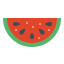 Watermelon icon 64x64