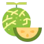 Melon icon 64x64