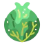 Cabbage icon 64x64