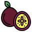 Passion fruit icon 64x64