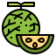 Melon icon 64x64