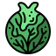 Cabbage icon 64x64