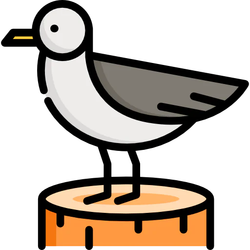 Seagull icon