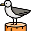 Seagull icon 64x64