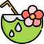 Coconut icon 64x64