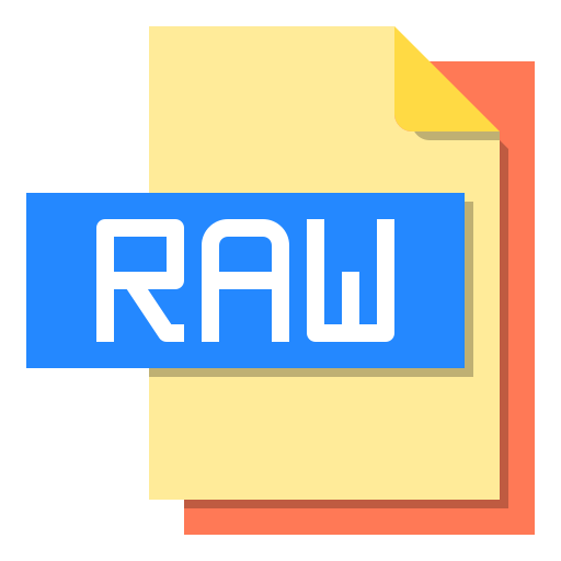 Raw file icon
