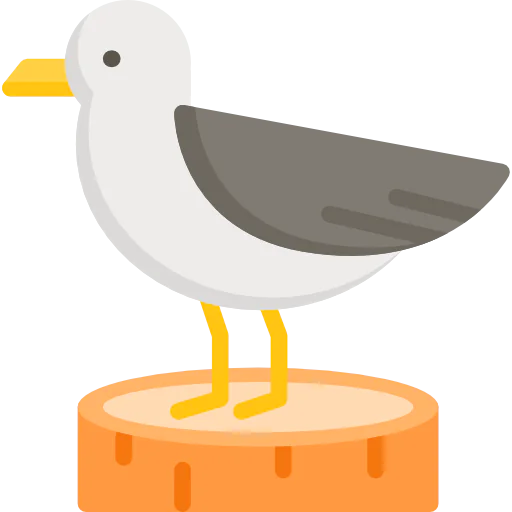 Seagull icon