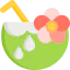 Coconut icon 64x64