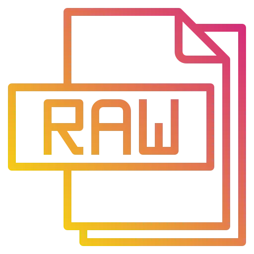 Raw file icon