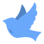 Dove icon 64x64