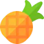 Pineapple ícono 64x64
