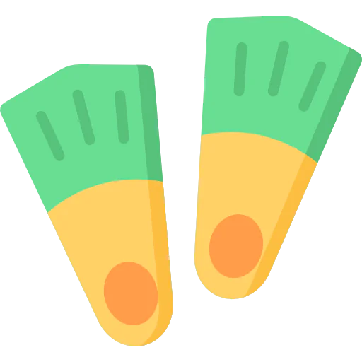 Flippers icon