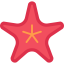 Starfish icon 64x64