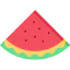 Watermelon icon 64x64