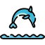 Dolphin icon 64x64