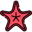 Starfish icon 64x64