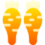 Carrots icon 64x64