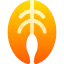 Salmon icon 64x64