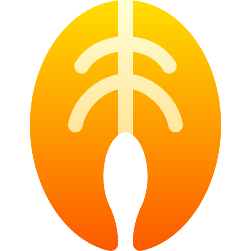 Salmon icon