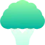 Cauliflower icon 64x64