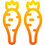 Carrots icon 64x64