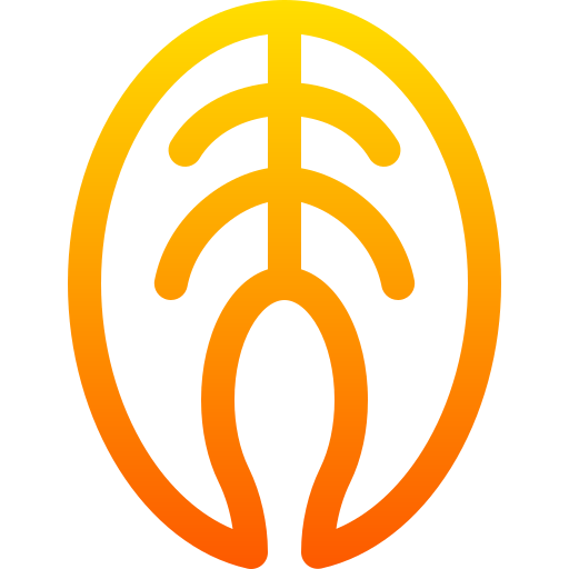 Salmon icon