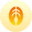 Salmon icon 64x64