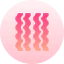 Bacon icon 64x64