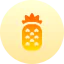 Pineapple icon 64x64