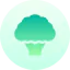 Cauliflower アイコン 64x64