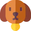 Dog icon 64x64