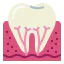 Tooth icon 64x64