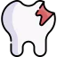 Caries icon 64x64