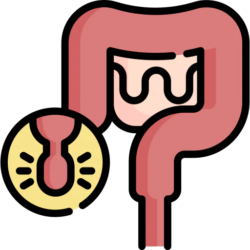 Appendix アイコン