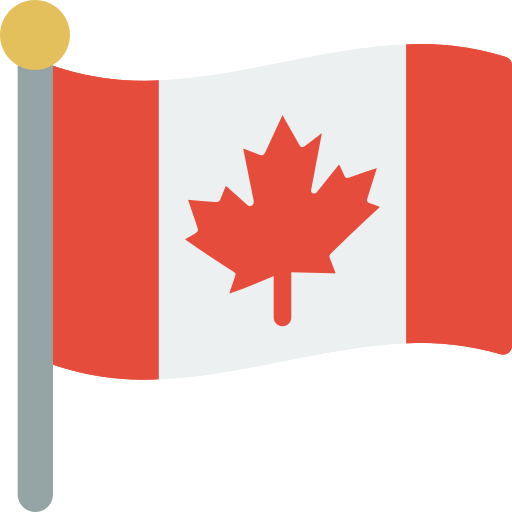 Flag icône
